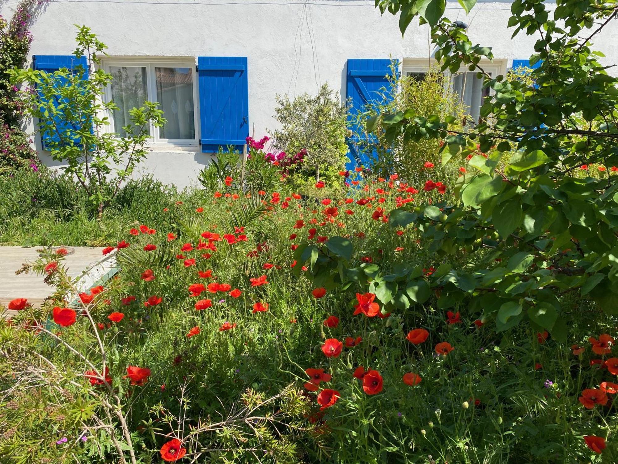 Maisonnette De Jardin Marseilles